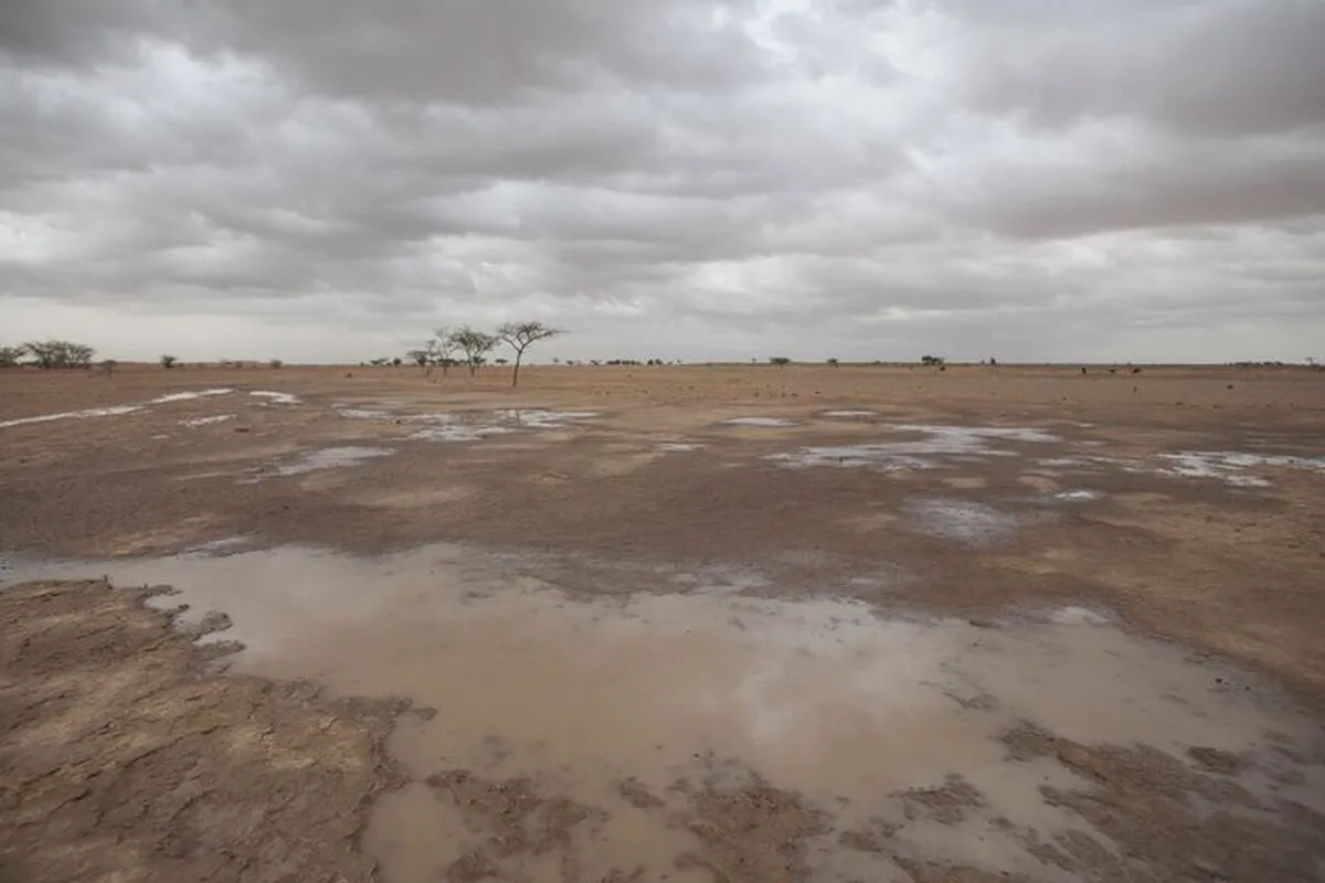 FAO urges action on rangeland restoration, drought resilience
