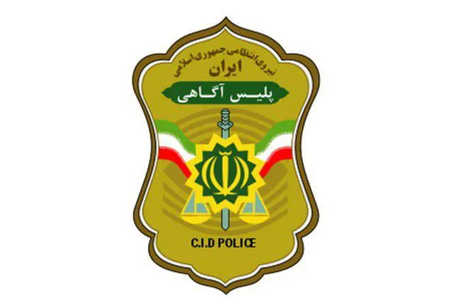 هشدار پلیس: مراقب کلاهبرداران به ظاهر نظافتچی و قالیشویی باشید