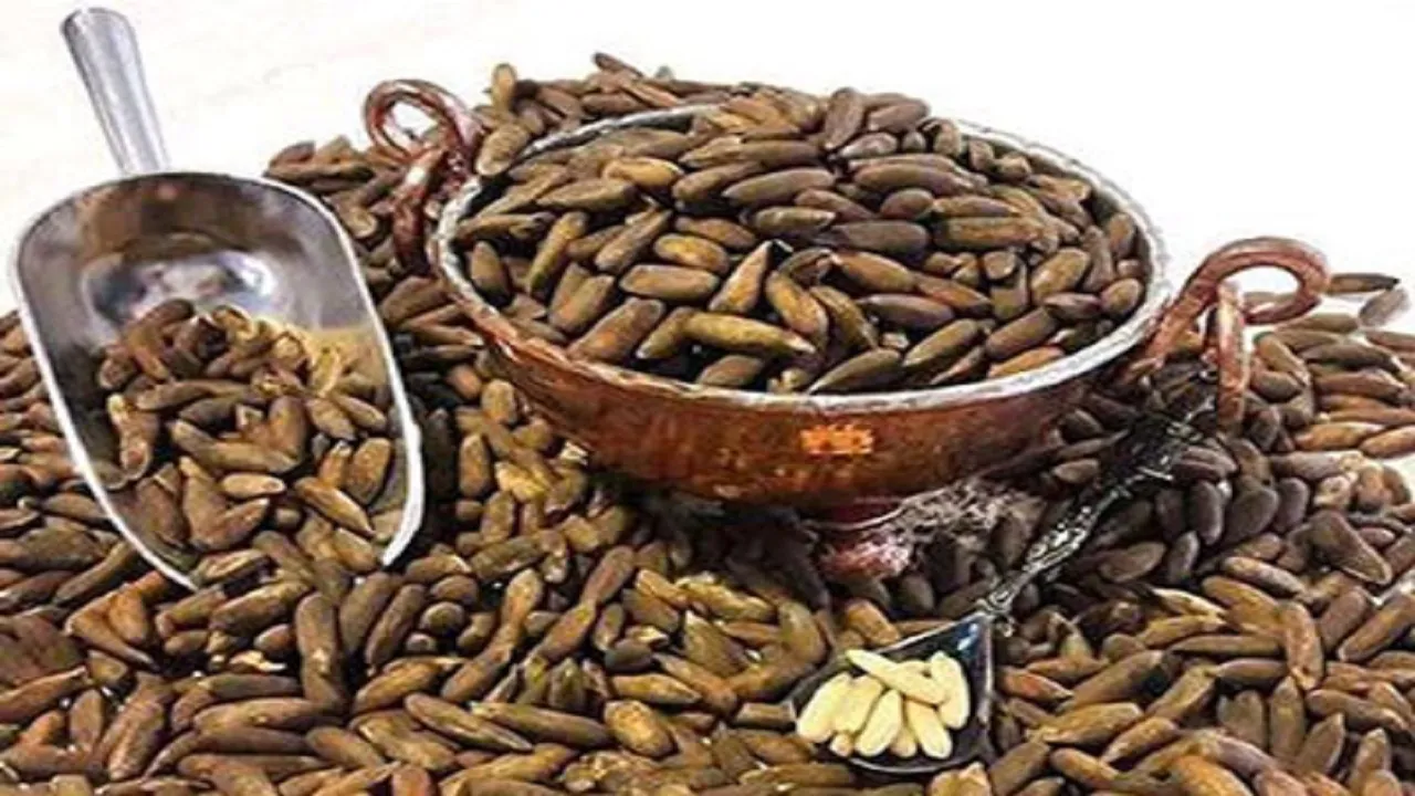 چلغوز چیست و چه خاصیتی دارد؟