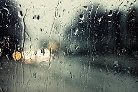 بارش برف و باران در البرز/ هوا سالم شد