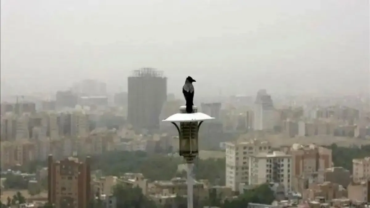 بارش‌های زمستانی جنوب ایران / سامانه بارشی جو را متلاطم کرد