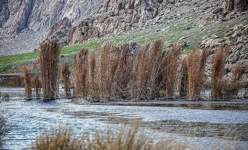 روند اجرای قانون حفاظت از تالاب‌ها بسیار کند و نامطلوب است