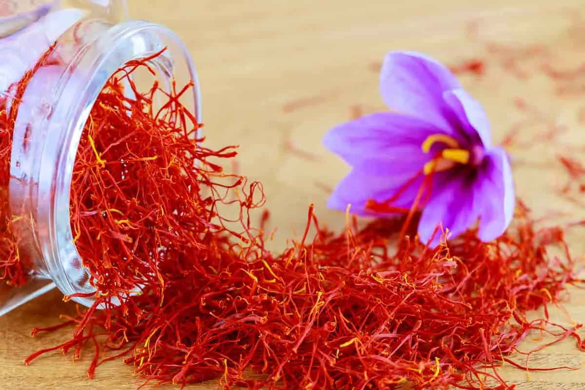 Iran exports $88 m of saffron in 5 months