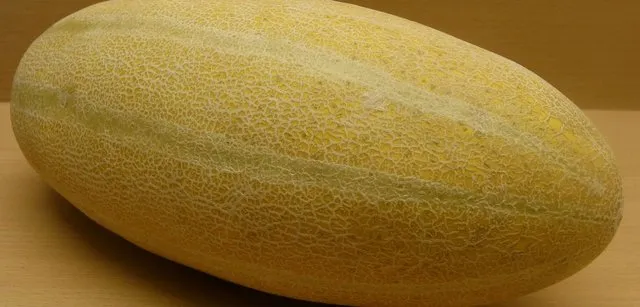 خربزه، جان کودک ۳ ساله را گرفت