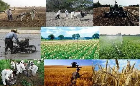 رکوردهای دولت یازدهم در توسعه روستایی