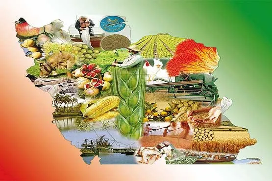 تخصیص ۵هزار میلیارد ریال به بانک کشاورزی برای جبران خسارت بیمه‌گزاران محصولات کشاورزی