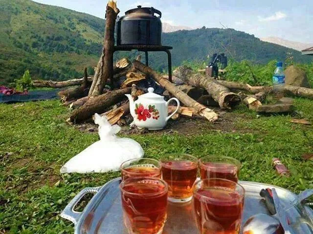 دم کردن چای کار دست چوپان گله داد