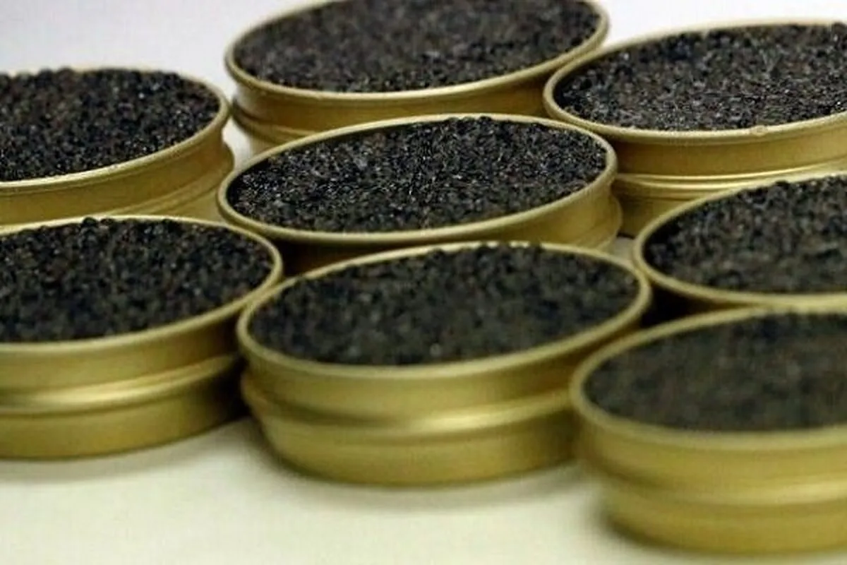 Iran’s annual production of caviar rises by 17%