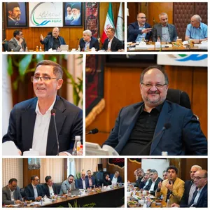 تاکید مدیرعامل هلدینگ خلیج‌فارس بر تسریع در اجرای پروژه‌های تامین برق شرکت‌های آسیب‌دیده با مشارکت مپنا
