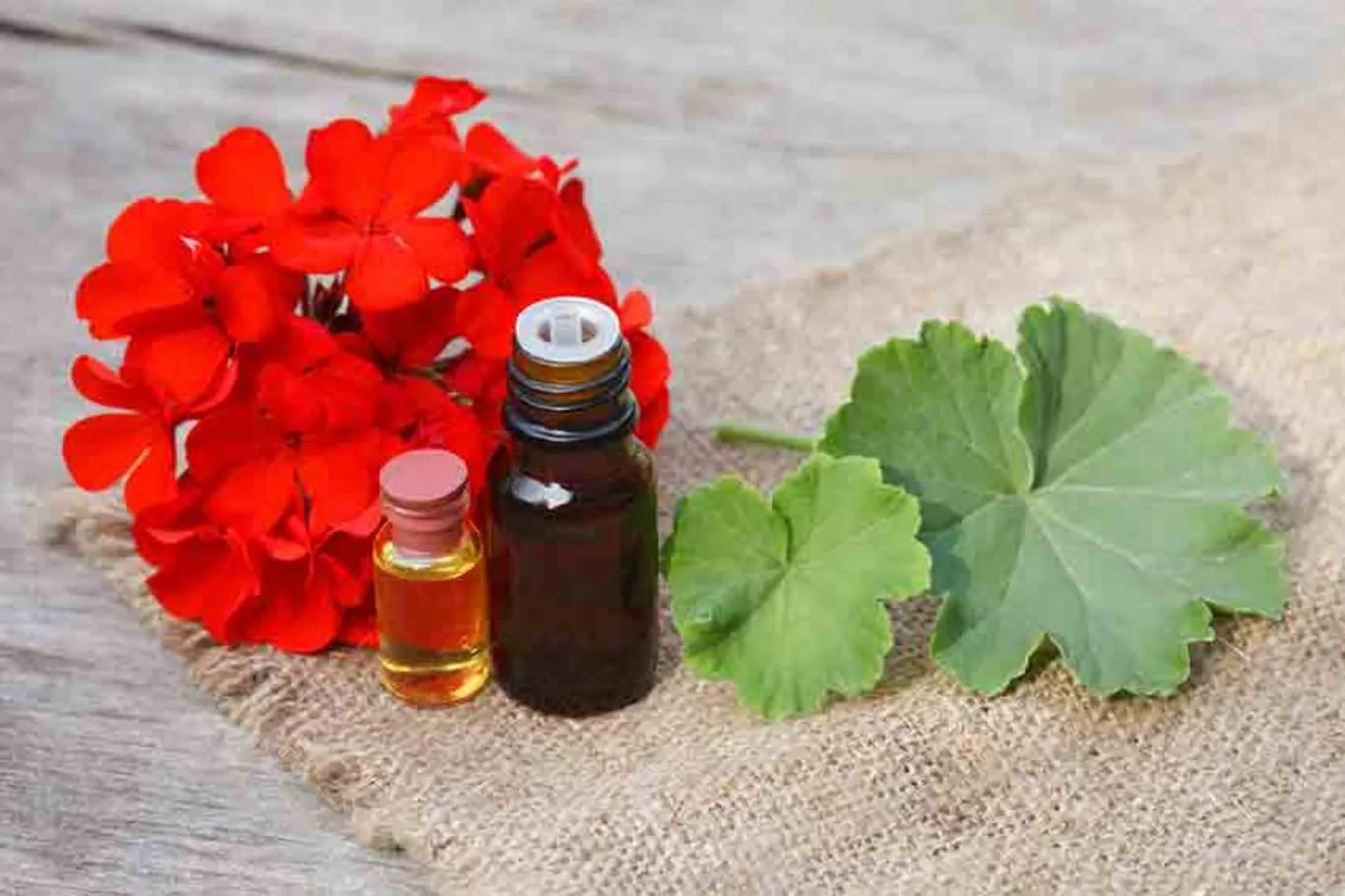 فواید روغن شمعدانی در درمان عارضه های پوستی