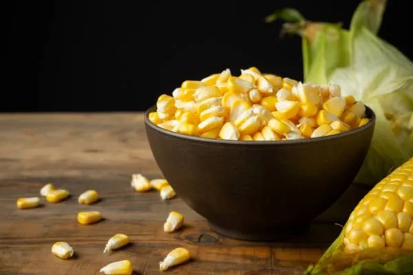 خوردن ذرت در بارداری فایدش بیشتره یا ضررش؟