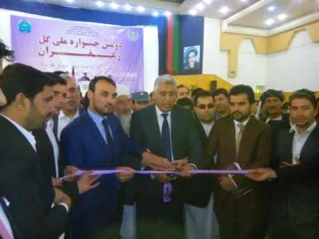 ۶ تن زعفران امسال در هرات برداشت شد