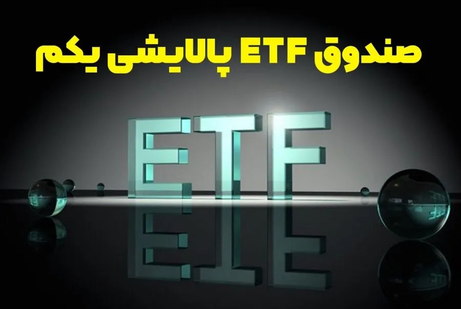سود پالایش یکم غیرسجامی ها و حقوقی ها پرداخت می شود