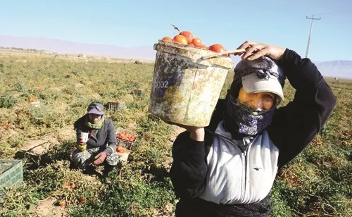 دستمزدهای ناعادلانه برای زنان خلاف قانون است