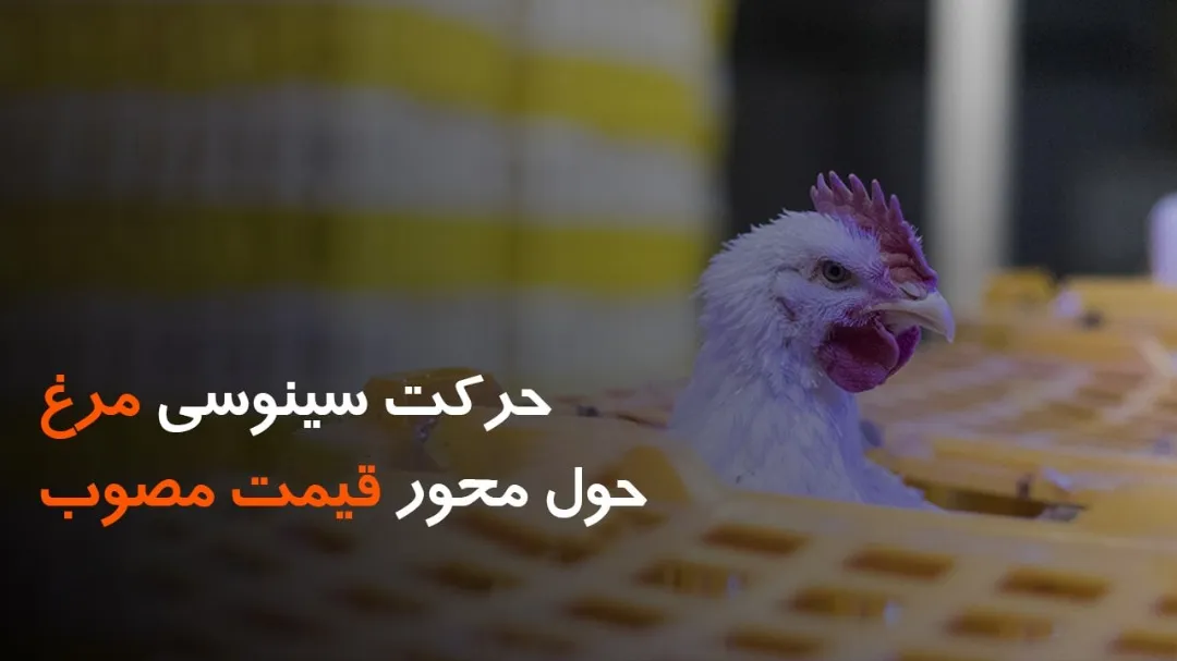 حرکت سینوسی مرغ حول محور قیمت مصوب
