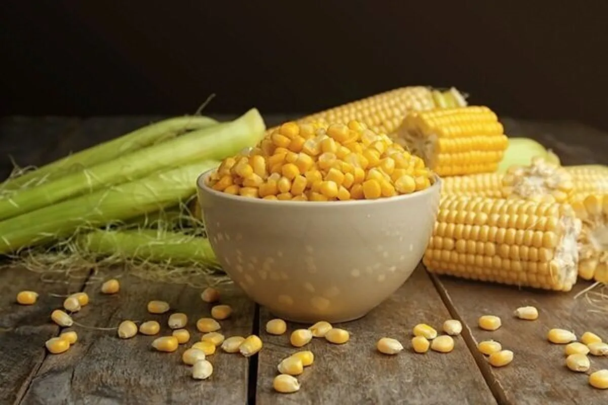 خواص شگفت‌انگیز ذرت برای سلامتی