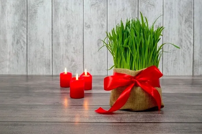 سفره هفت سین را کجای خانه باید پهن کرد؟