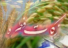 پاسخ به 4 سئوال درباره زکات فطره