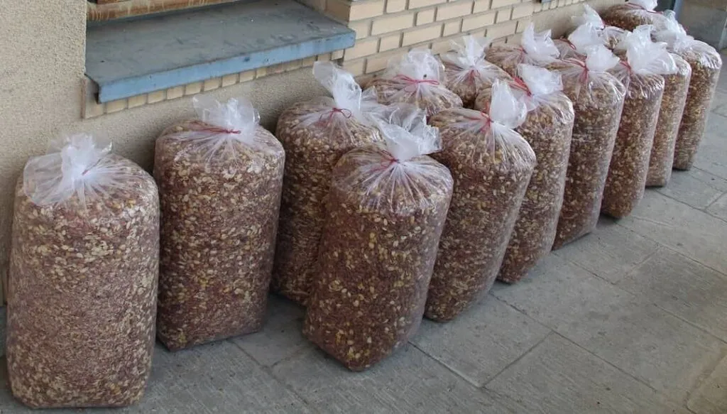 قاچاق عجیب مواد مخدر به کانادا