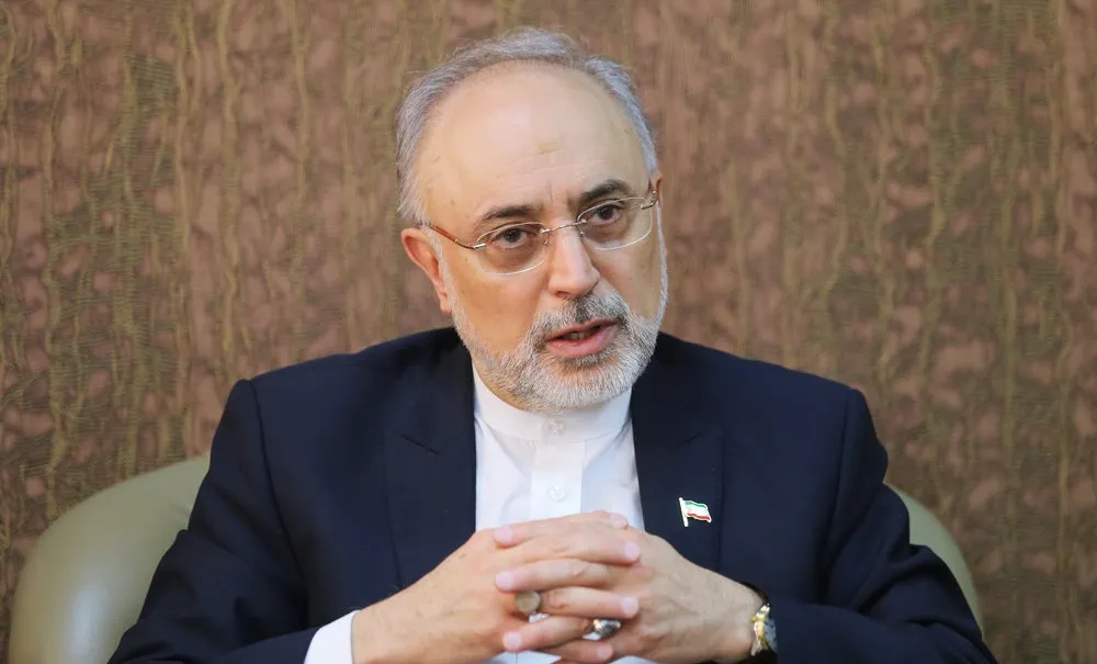 صالحی: بابت حمله استاکس‌نت متشکریم