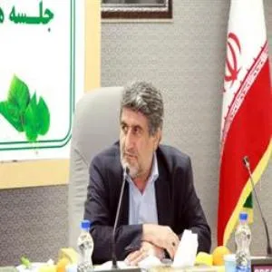 امسال سه میلیون تن گندم صادر می شود