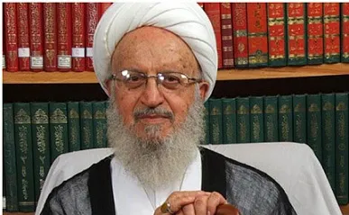 هشدار شدید آیت‌الله مکارم به کاهش جمعیت