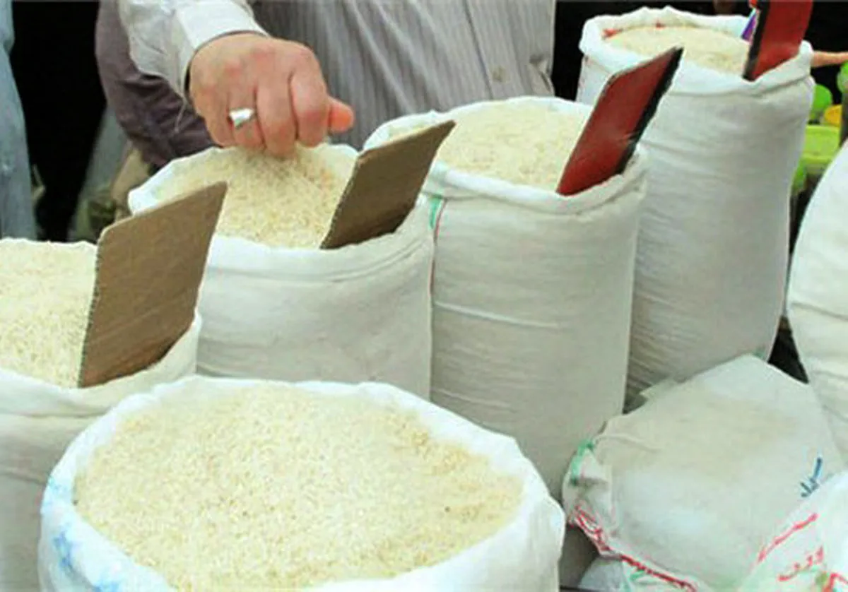 برنج درجه یک پاکستانی کیلویی چند؟ + جدول قیمت روز