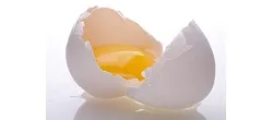 یک سرمایه گذاری ارزان و بی شکست