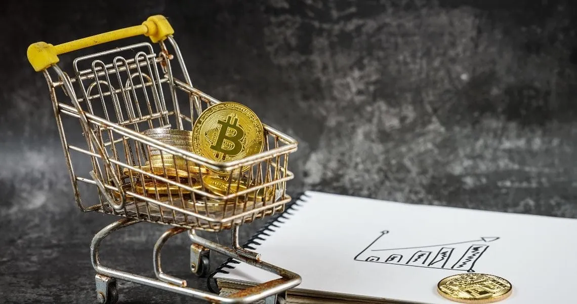 سازمان ها در حال انباشت بیت کوین هستند