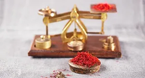 نمایشگاه پکن میزبان زرشک، زعفران و عناب خراسان جنوبی