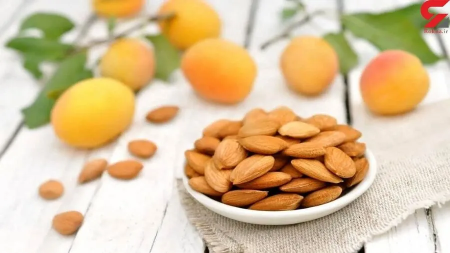 هسته زردآلو را دور نریزید