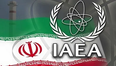 رئیس بازرسان آژانس وارد تهران شد