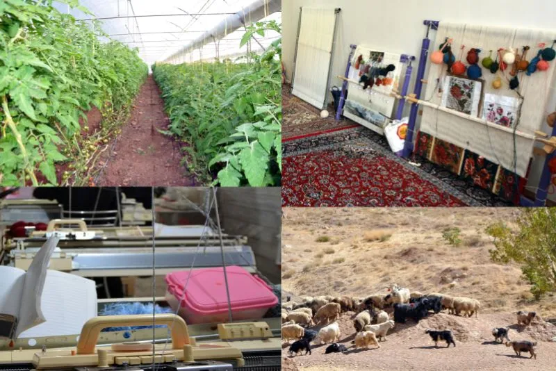 ایجاد ۳۰۰ روستای بدون بیکار تا پایان سال
