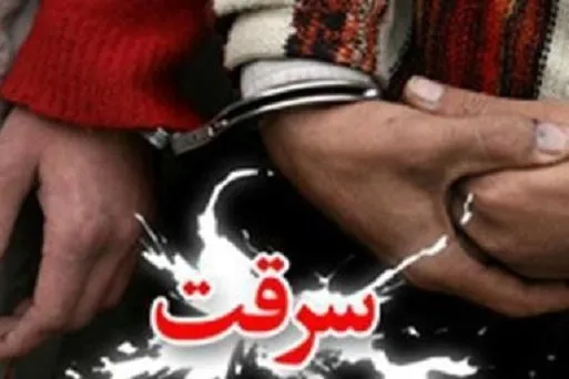 زن باهوش، پلیس را به دزدان «پورشه» رساند