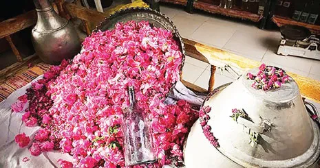بازار عرقیات سنتی؛ فرصتی برای کارآفرینی