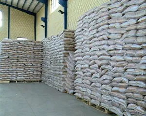 شرایط ترخیص برنج از گمرک ابلاغ شد + عکس