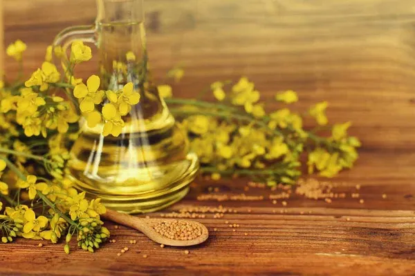 از خطرات سلامت استفاده از روغن کانولا