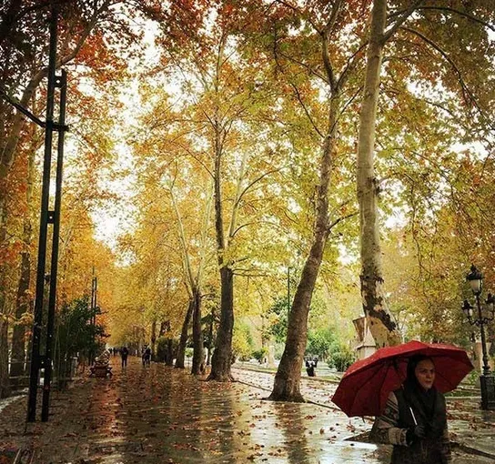 باران، طلسم یک هفته‌ای آلودگی هوا را شکست