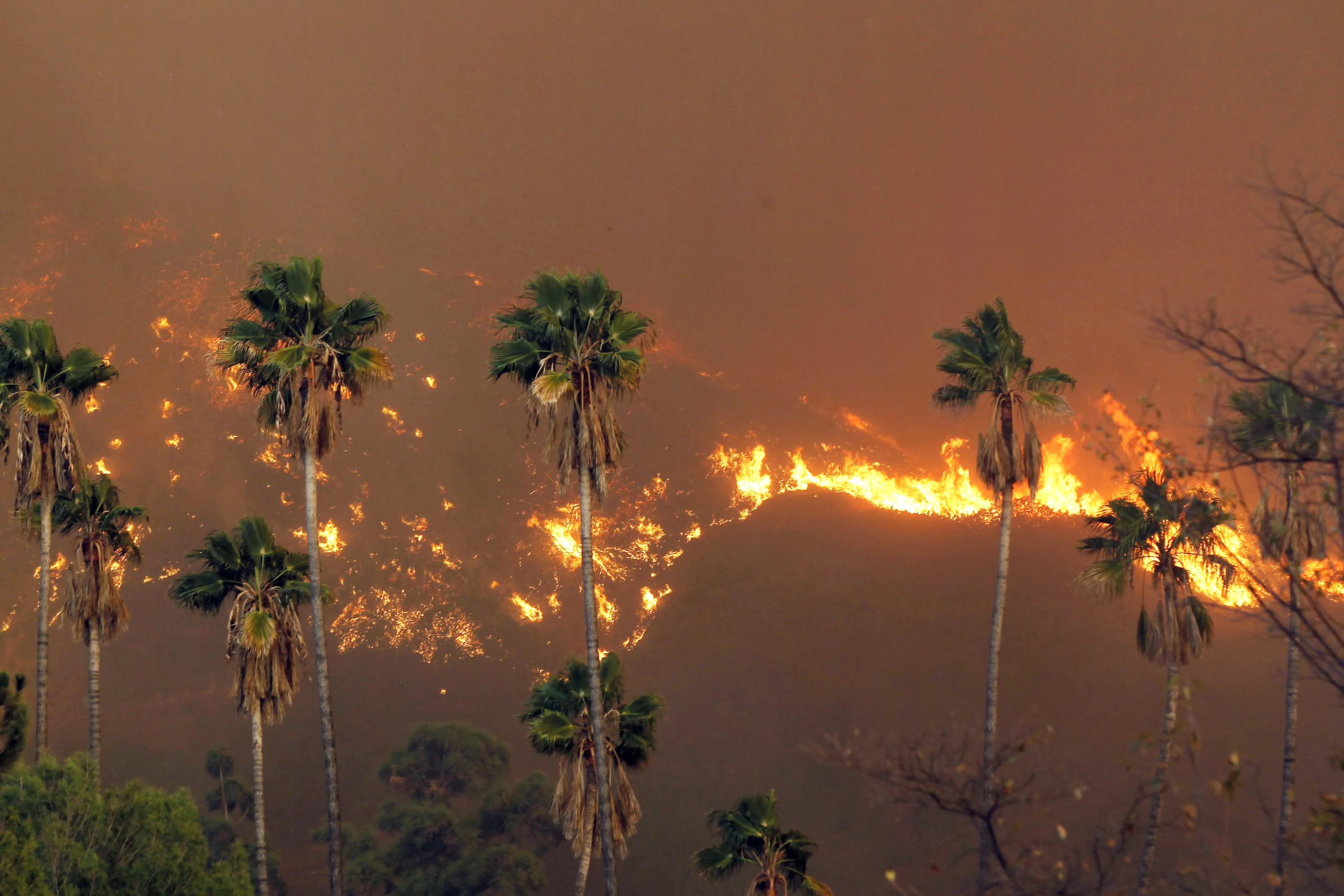 Largest wildfire in Los Angeles history forces hundreds to evacuate