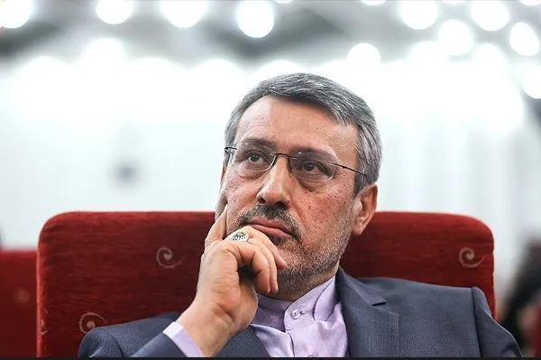 مذاکره بر سر برجام به روایت بعیدی نژاد +عکس