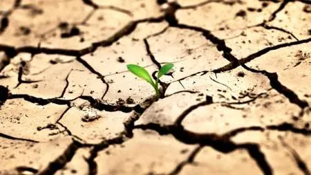 334شهر همچنان در معرض تنش آبی