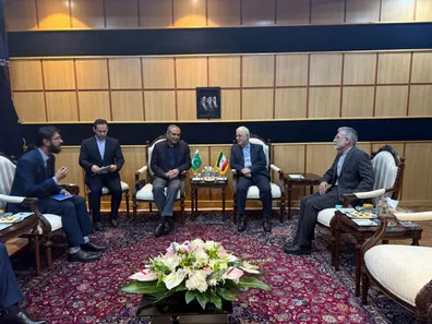استقبال-از-وزیر-کشور-پاکستان-در-تهران-پیام-واشنگتن-به-ایران-رسید