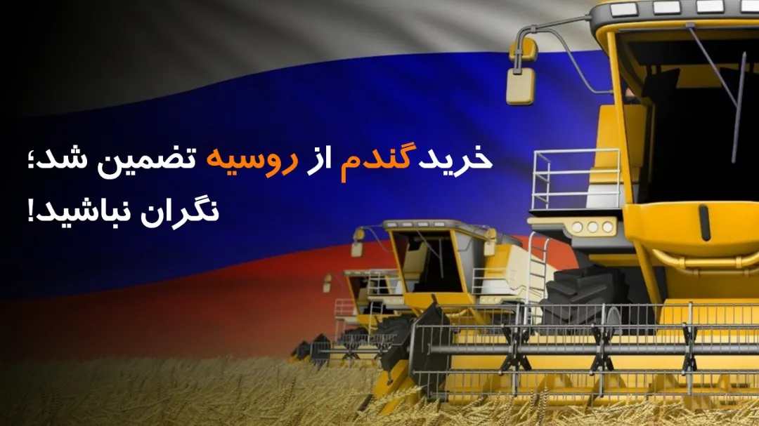 خرید گندم از روسیه تضمین شد؛ نگران نباشید!