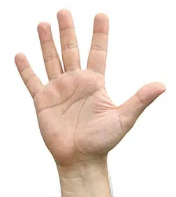 رابطه شکل کف دست افراد و شخصیت آنها