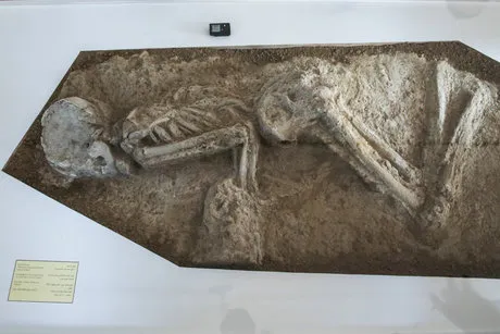 کشف جمجمه ۳ هزار ساله در خیابان بهارستان+ عکس