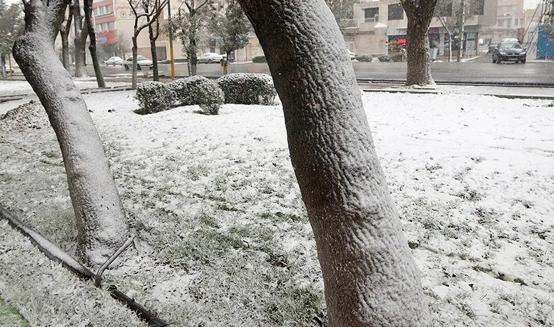 مرگ دو نفر در گیلان در اثر سرما