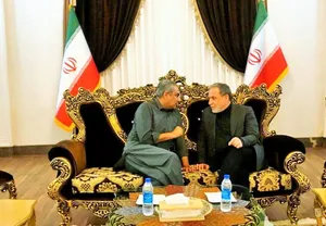 وزیر کشور پاکستان در مشهد برای زیارت/ رایزنی با عراقچی در فرودگاه شهید هاشمی‌نژاد