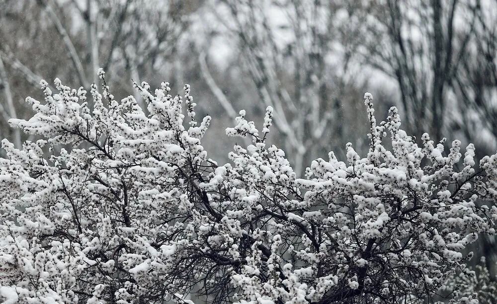 چگونه در سرمای زمستان سالم بمانیم؟
