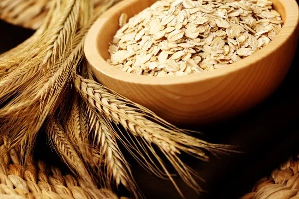 فیبر مانع پیری مغز می‌شود