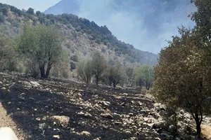 آخرین جزئیات از آتش‌سوزی در ارتفاعات ماهور میلاتی